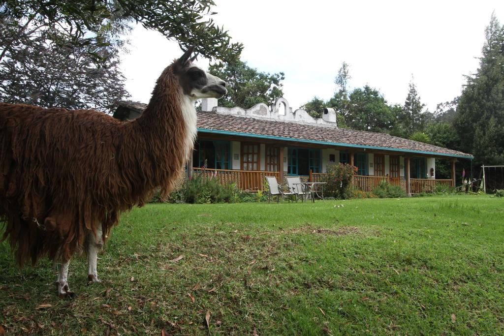 Las Palmeras Inn Otavalo Luaran gambar