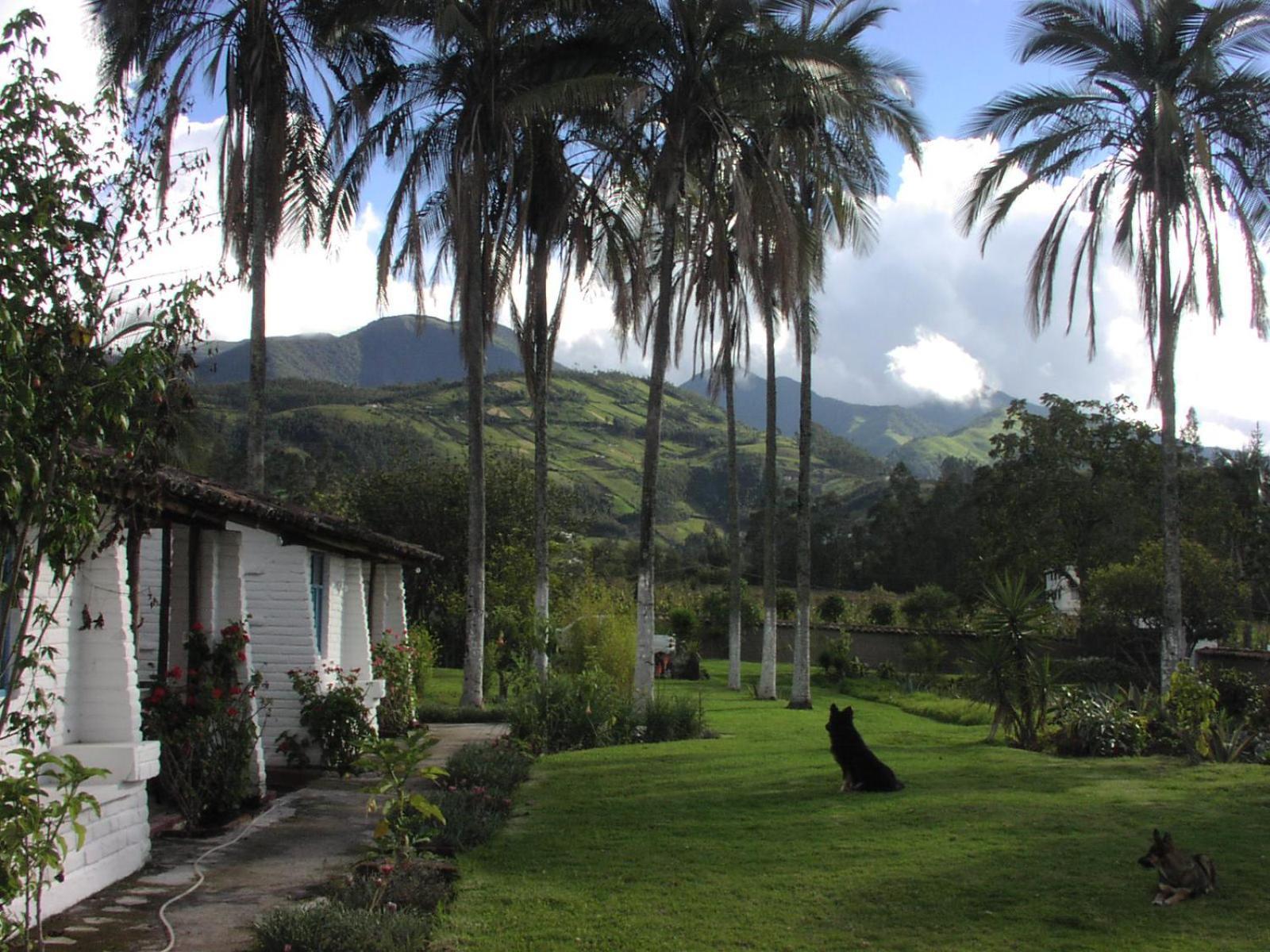 Las Palmeras Inn Otavalo Luaran gambar